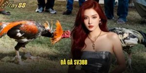 Đá Gà SV388