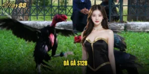 Đá Gà S128