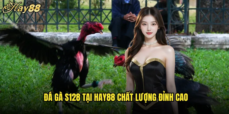 Đá Gà S128 Trên Nền Tảng hay88 Livestream HD Cược Thả Ga 4 Đá Gà S128 Tại hay88 Chất Lượng Đỉnh Cao