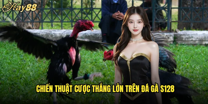 Đá Gà S128 Trên Nền Tảng hay88 Livestream HD Cược Thả Ga 5 Chiến Thuật Cược Thắng Lớn Trên Đá Gà S128