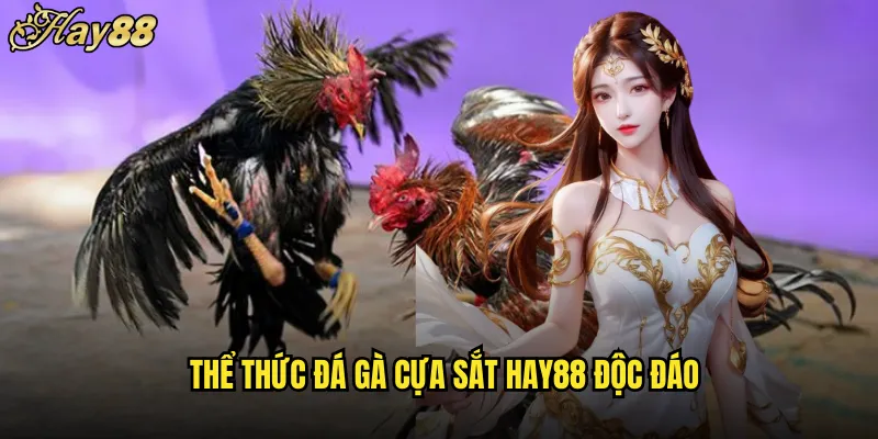 Đá Gà Cựa Sắt Trên hay88 Với Cuộc Chiến Khốc Liệt 4 Thể Thức Đá Gà Cựa Sắt hay88 Độc Đáo