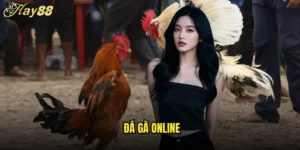 Đá Gà Online