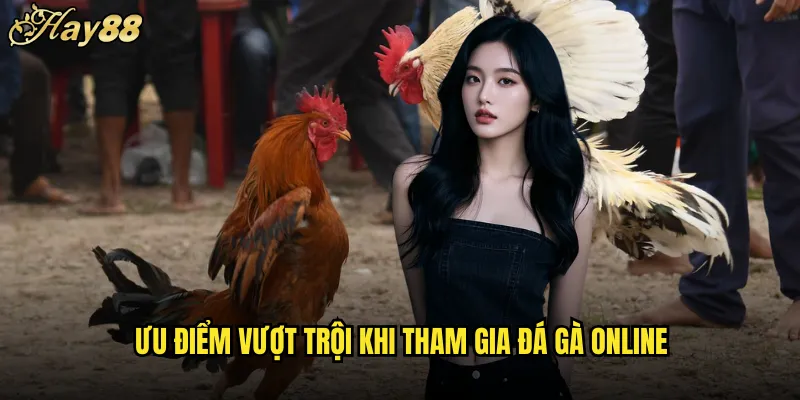 Đá Gà Online hay88 Sân Chơi Ảo Hứng Khởi Nhất 5 Ưu Điểm Vượt Trội Khi Tham Gia Đá Gà Online