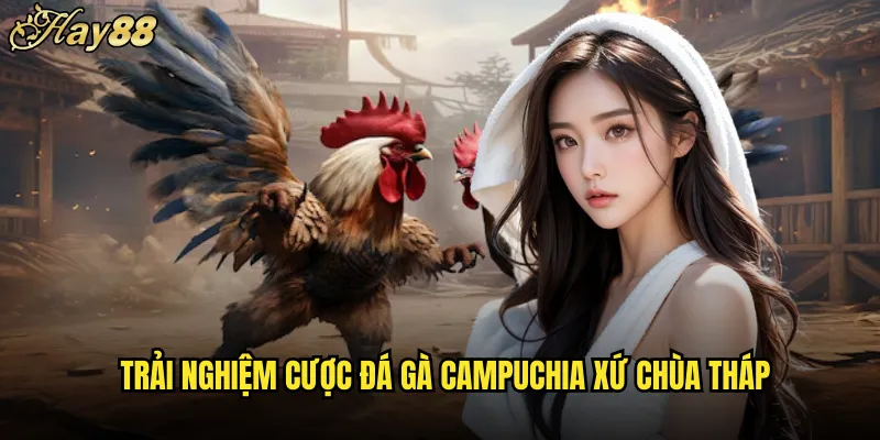Đá Gà Campuchia hay88 Truyền Thống Khmer Đậm Đà 5 Trải Nghiệm Cược Đá Gà Campuchia Xứ Chùa Tháp