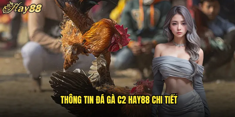 Đá Gà C2 hay88 Giải Đấu Hạng Nhì Kịch Tính 4 Thông Tin Đá Gà C2 hay88 Chi Tiết