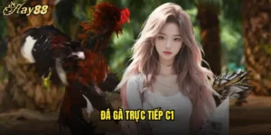 đá gà trực tuyến c1