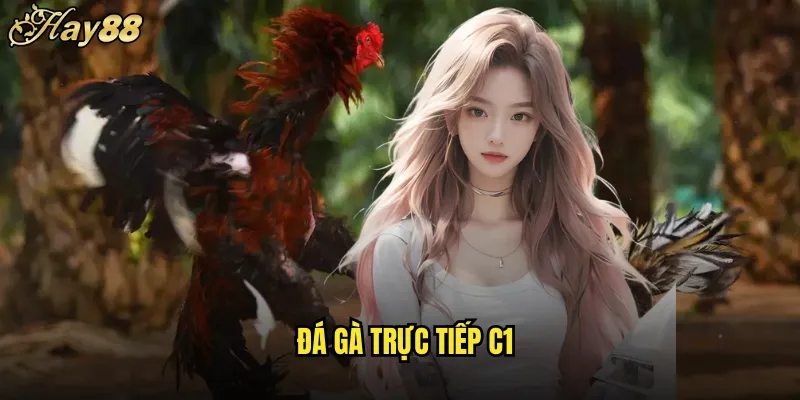 đá gà trực tuyến c1