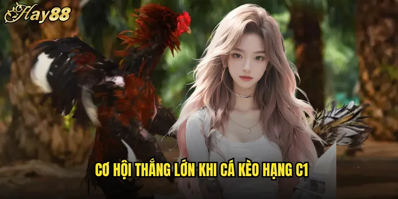Đá Gà Trực Tiếp C1 hay88 Hạng Nhất Đẳng Cấp 5 Cơ Hội Thắng Lớn Khi Cá Kèo Hạng C1