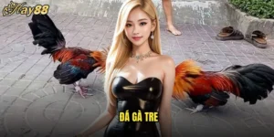 Đá Gà Tre