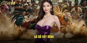 Gà Đá Vảy Rồng