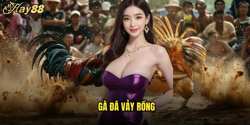 Gà Đá Vảy Rồng
