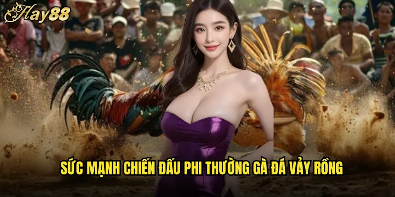 Gà Đá Vảy Rồng hay88 Dòng Máu Hoàng Gia Oai Phong 5 Sức Mạnh Chiến Đấu Phi Thường Gà Đá Vảy Rồng