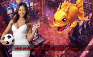 cách phân bổ vốn cho từng ván bắn cá