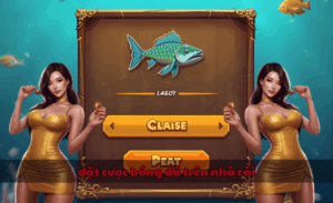 Đặt cược bóng đá trên nhà cái